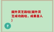 国外灵芝栽培(国外灵芝成功栽培，成果喜人)