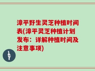 漳平野生灵芝种植时间表(漳平灵芝种植计划发布：详解种植时间及注意事项)