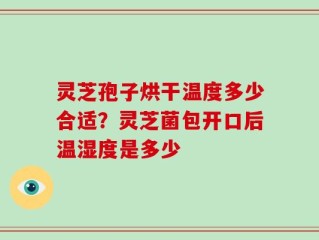 灵芝孢子烘干温度多少合适？灵芝菌包开口后温湿度是多少