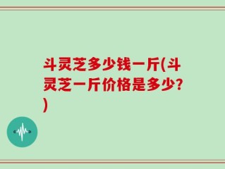 斗灵芝多少钱一斤(斗灵芝一斤价格是多少？)