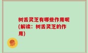 树舌灵芝有哪些作用呢(解读：树舌灵芝的作用)