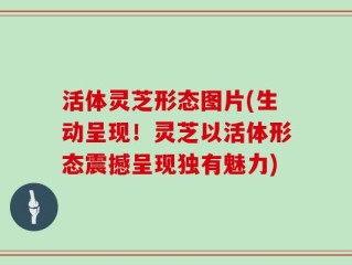 活体灵芝形态图片(生动呈现！灵芝以活体形态震撼呈现独有魅力)