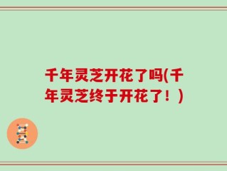 千年灵芝开花了吗(千年灵芝终于开花了！)