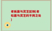 老枞菌与灵芝区别(老松菌与灵芝的不同之处)