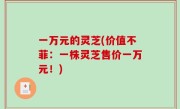 一万元的灵芝(价值不菲：一株灵芝售价一万元！)