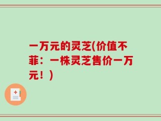 一万元的灵芝(价值不菲：一株灵芝售价一万元！)