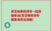 灵芝和黄芪茯苓一起煲猪骨汤(灵芝黄芪茯苓猪骨汤煲法详解)