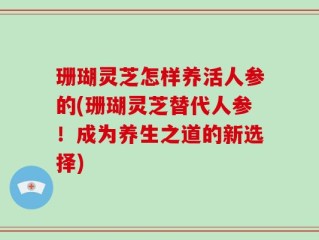 珊瑚灵芝怎样养活人参的(珊瑚灵芝替代人参！成为养生之道的新选择)