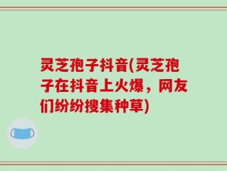 灵芝孢子抖音(灵芝孢子在抖音上火爆，网友们纷纷搜集种草)