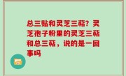 总三贴和灵芝三萜？灵芝孢子粉里的灵芝三萜和总三萜，说的是一回事吗