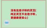 没有出孢子粉的灵芝(纯正灵芝不含孢子粉，更健康更安心)