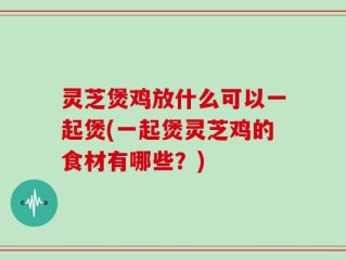 灵芝煲鸡放什么可以一起煲(一起煲灵芝鸡的食材有哪些？)