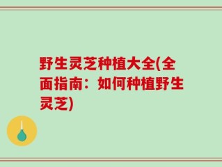 野生灵芝种植大全(全面指南：如何种植野生灵芝)