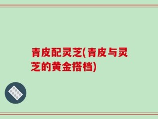 青皮配灵芝(青皮与灵芝的黄金搭档)