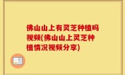 佛山山上有灵芝种植吗视频(佛山山上灵芝种植情况视频分享)