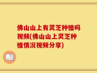 佛山山上有灵芝种植吗视频(佛山山上灵芝种植情况视频分享)
