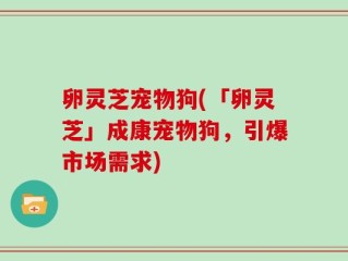 卵灵芝宠物狗(「卵灵芝」成康宠物狗，引爆市场需求)