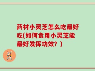 药材小灵芝怎么吃最好吃(如何食用小灵芝能最好发挥功效？)
