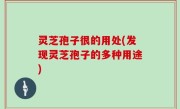 灵芝孢子很的用处(发现灵芝孢子的多种用途)