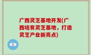 广西灵芝基地开发(广西培育灵芝基地，打造灵芝产业新亮点)