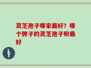 灵芝孢子哪家最好？哪个牌子的灵芝孢子粉最好