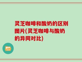 灵芝咖啡和酸奶的区别图片(灵芝咖啡与酸奶的异同对比)