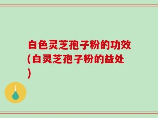 白色灵芝孢子粉的功效(白灵芝孢子粉的益处)