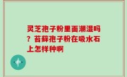 灵芝孢子粉里面潮湿吗？苔藓孢子粉在吸水石上怎样种啊