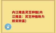 内江隆昌灵芝种植(内江隆昌：灵芝种植助力脱贫致富)