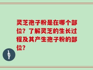 灵芝孢子粉是在哪个部位？了解灵芝的生长过程及其产生孢子粉的部位？