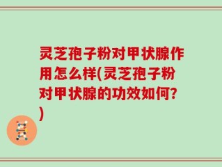 灵芝孢子粉对甲状腺作用怎么样(灵芝孢子粉对甲状腺的功效如何？)