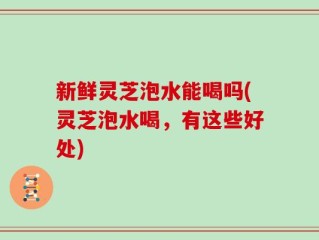 新鲜灵芝泡水能喝吗(灵芝泡水喝，有这些好处)