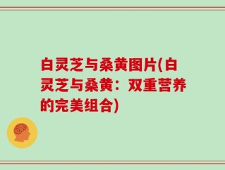 白灵芝与桑黄图片(白灵芝与桑黄：双重营养的完美组合)