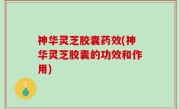 神华灵芝胶囊药效(神华灵芝胶囊的功效和作用)