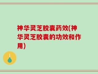 神华灵芝胶囊药效(神华灵芝胶囊的功效和作用)