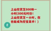 上山挖灵芝800块一小时(800元时价！上山挖灵芝一小时，你也能成为挖宝高手！)
