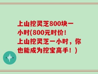 上山挖灵芝800块一小时(800元时价！上山挖灵芝一小时，你也能成为挖宝高手！)