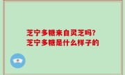 芝宁多糖来自灵芝吗？芝宁多糖是什么样子的