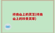 终南山上的灵芝(终南山上的珍贵灵草)