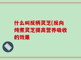什么叫反柄灵芝(反向炖煮灵芝提高营养吸收的效果