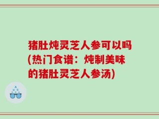猪肚炖灵芝人参可以吗(热门食谱：炖制美味的猪肚灵芝人参汤)