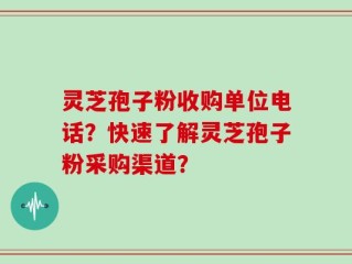 灵芝孢子粉收购单位电话？快速了解灵芝孢子粉采购渠道？