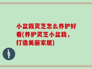 小盆栽灵芝怎么养护好看(养护灵芝小盆栽，打造美丽家居)