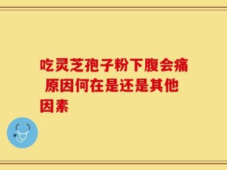 吃灵芝孢子粉下腹会痛 原因何在是还是其他因素