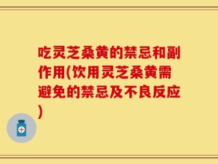吃灵芝桑黄的禁忌和副作用(饮用灵芝桑黄需避免的禁忌及不良反应)