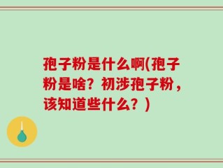 孢子粉是什么啊(孢子粉是啥？初涉孢子粉，该知道些什么？)