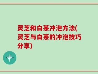 灵芝和白茶冲泡方法(灵芝与白茶的冲泡技巧分享)