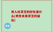 男人吃灵芝的好处是什么(男性食用灵芝的益处)
