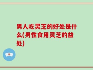 男人吃灵芝的好处是什么(男性食用灵芝的益处)