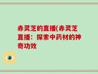 赤灵芝的直播(赤灵芝直播：探索中药材的神奇功效